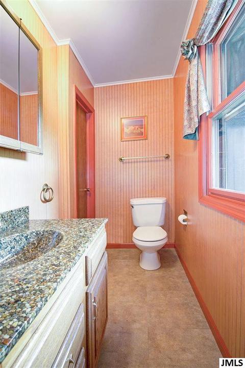 4263 Indian Tr, Jackson, MI 49201 photo 20