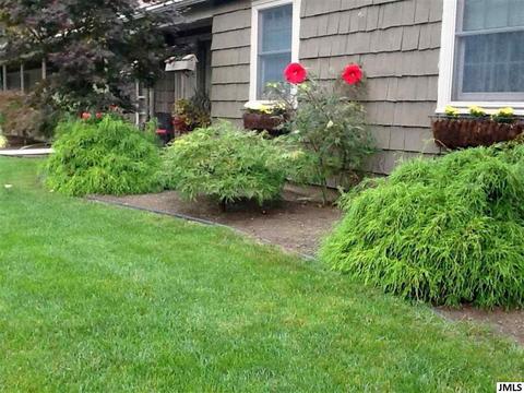 908 Briarcliff Rd, Jackson, MI 49203 photo 34