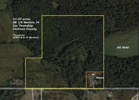 21669 N M, Marshall, MI 49068 photo 2