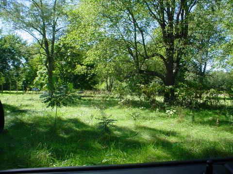 0000 Patterson, Three Rivers, MI 49093 photo 2