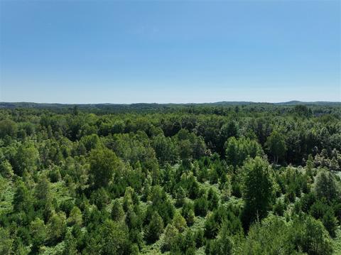 3302 N 39, Manton, MI 49663 photo 11