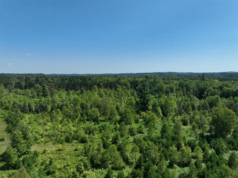 3302 N 39, Manton, MI 49663 photo 12
