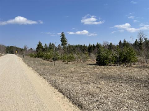 3302 N 39, Manton, MI 49663 photo 4