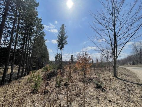 3302 N 39, Manton, MI 49663