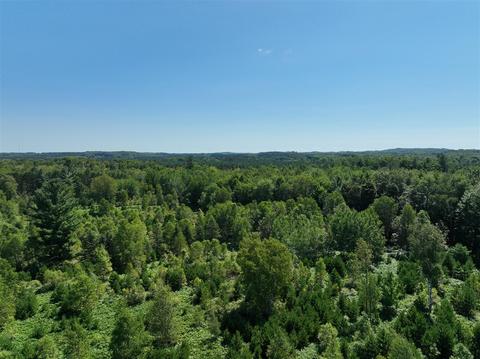 3302 N 39, Manton, MI 49663 photo 15