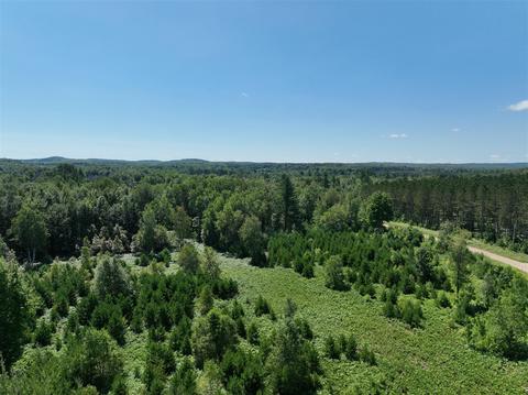 3302 N 39, Manton, MI 49663 photo 10