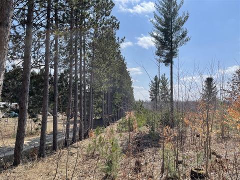 3302 N 39, Manton, MI 49663 photo 2