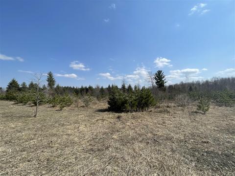 3302 N 39, Manton, MI 49663 photo 5