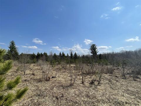 3302 N 39, Manton, MI 49663 photo 6