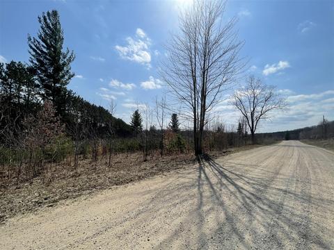 3302 N 39, Manton, MI 49663 photo 3