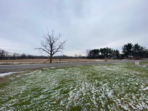 Lot 1 & A Carric Ct, Jackson, MI 49201 photo 5