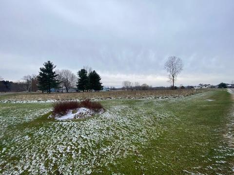 Lot 1 & A Carric Ct, Jackson, MI 49201 photo 4
