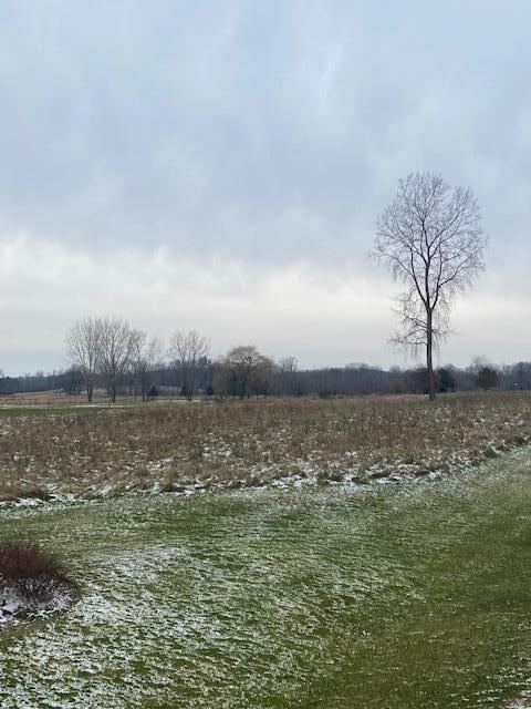 Lot 1 & A Carric Ct, Jackson, MI 49201 photo 7