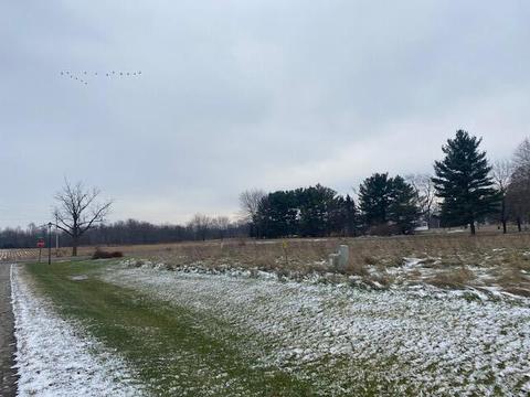 Lot 1 & A Carric Ct, Jackson, MI 49201 photo 8