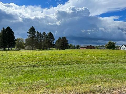 Lot 1 & A Carric Ct, Jackson, MI 49201 photo 2