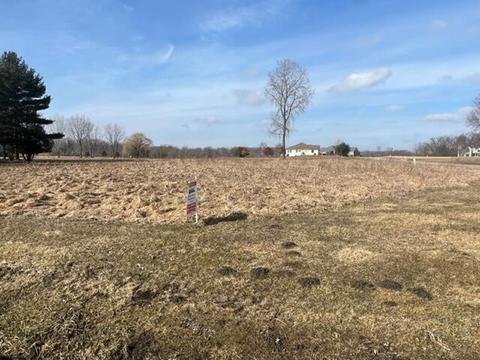 Lot 1 & A Carric Ct, Jackson, MI 49201 photo 3