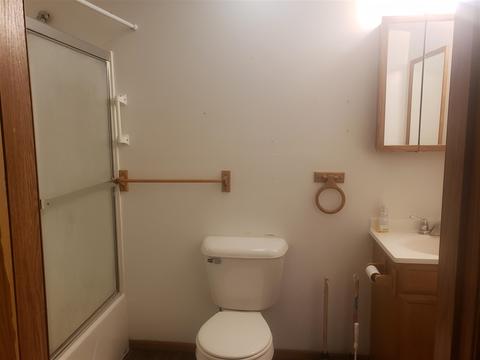 250 E 2nd St, Ovid, MI 48866 photo 6