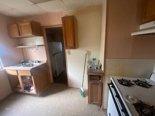 1013 2nd Ct, Jackson, MI 49203 photo 6