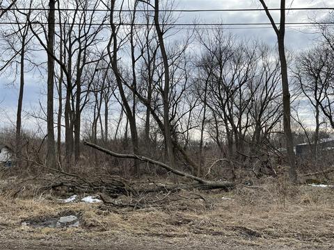 V/l Nottawasepee, Jackson, MI 49201 photo 2