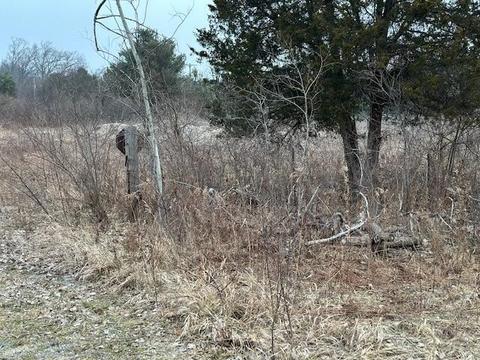 7151 E 88th, Newaygo, MI 49337 photo 7