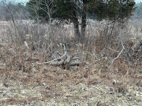 7151 E 88th, Newaygo, MI 49337 photo 2