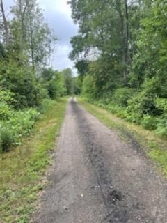 Cass, Morley, MI 49336