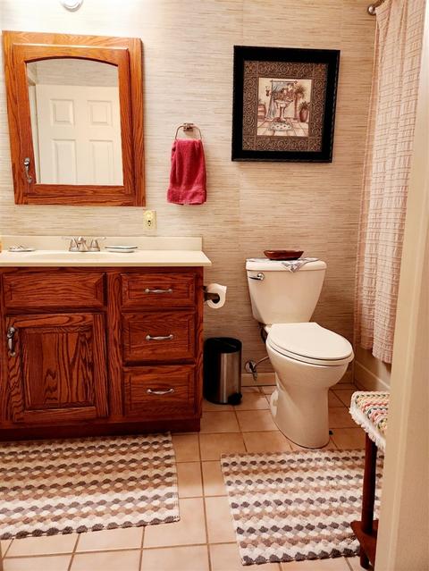 102 E Gatehouse, Edmore, MI 48829 photo 14