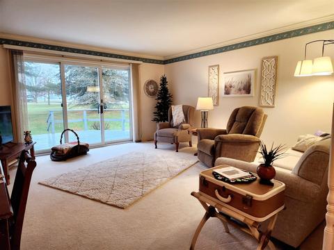 102 E Gatehouse, Edmore, MI 48829 photo 7