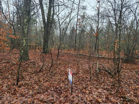 0 Vacant #LOT TWIN, Lake, MI 49457