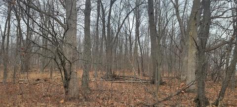 Parcel B Dildine Road, Ionia, MI 48846