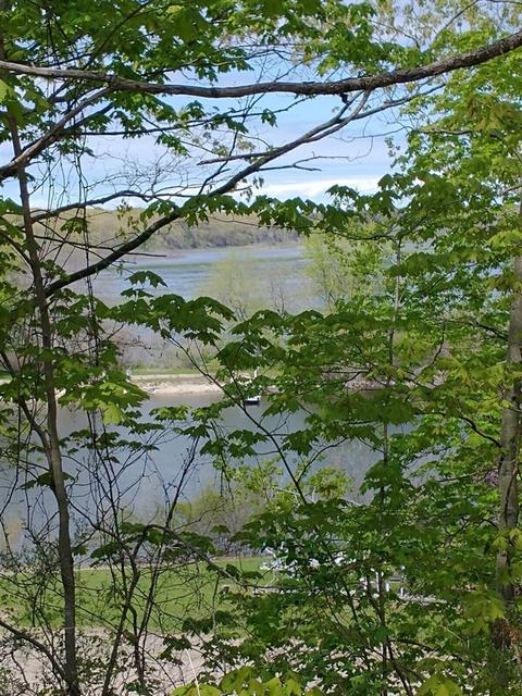 00 Riverside, Fennville, MI 49408