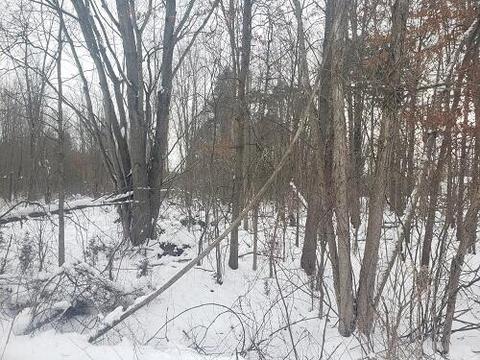 34 Th Ave, Mattawan, MI 49071 photo 3