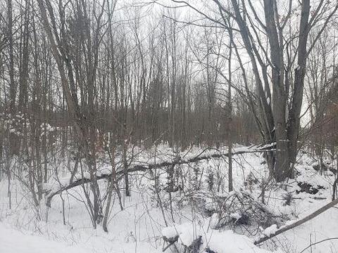 34 Th Ave, Mattawan, MI 49071 photo 2
