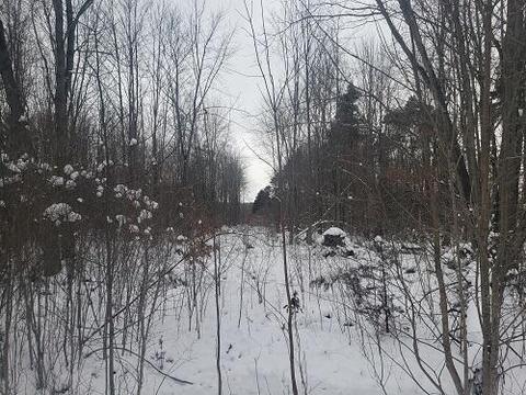 34 Th Ave, Mattawan, MI 49071 photo 1