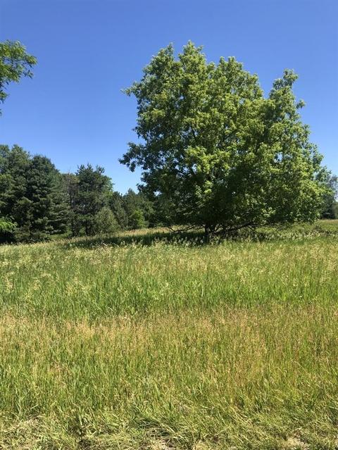 10480 Valley Ct, Canadian Lakes, MI 49346