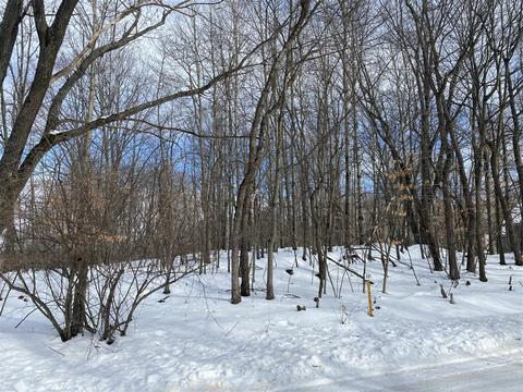 10448 Medicine Ldg #381, Canadian Lakes, MI 49346