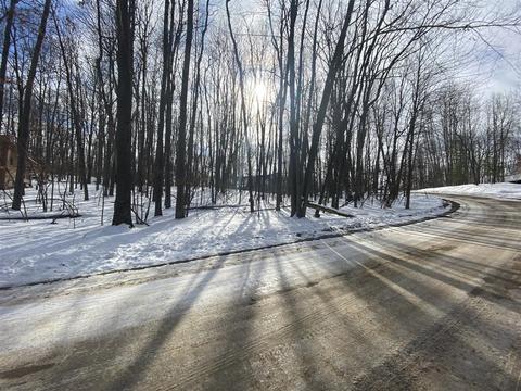 9854 Caddie Dr #218, Canadian Lakes, MI 49346