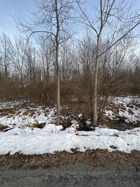 0 Springdale, Hartford, MI 49057