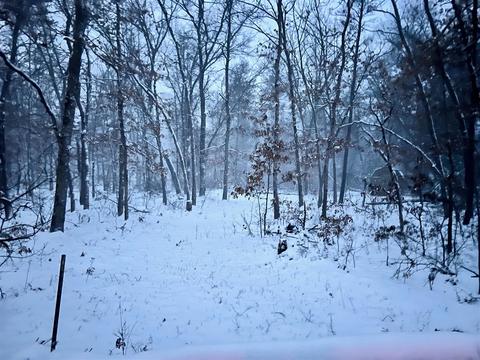 3383 S James, Baldwin, MI 49304 photo 3