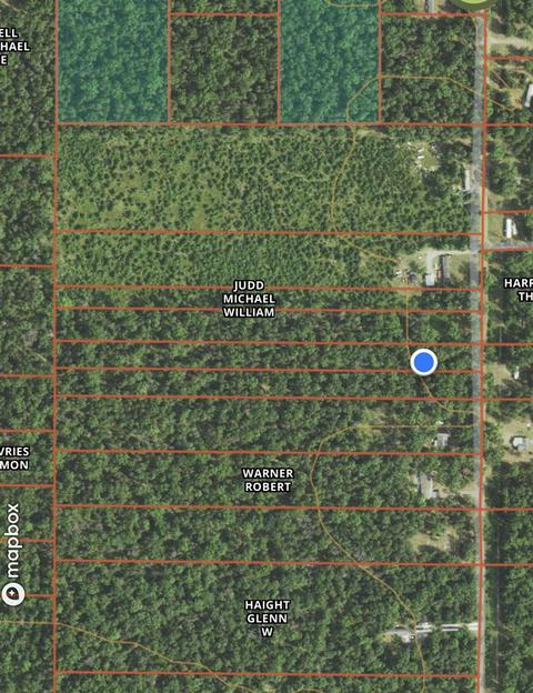 3383 S James, Baldwin, MI 49304 photo 4