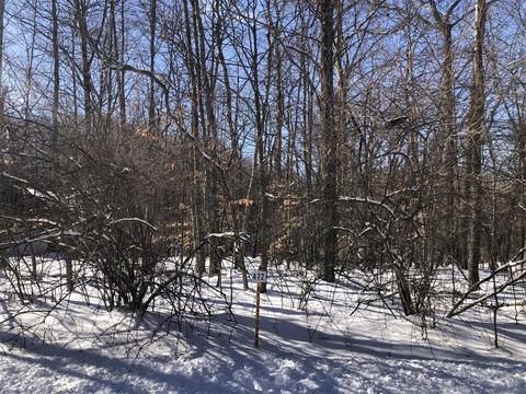 10241 Mountain View Trl #472, Canadian Lakes, MI 49346