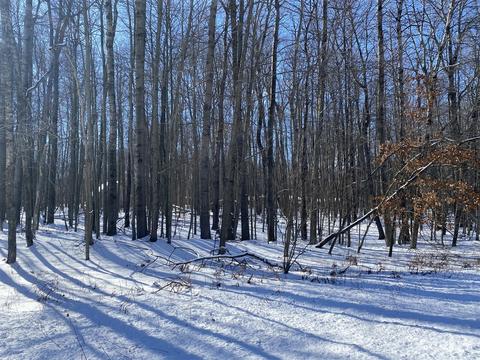 8351 Westridge #102, Canadian Lakes, MI 49346