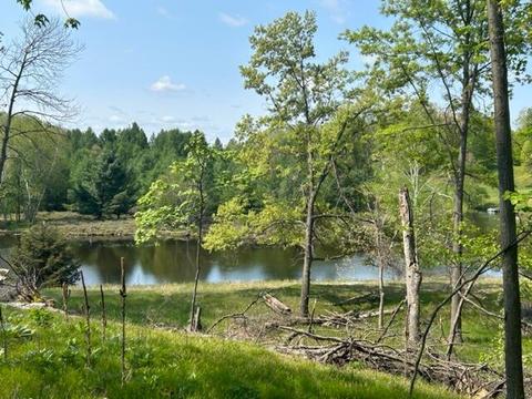 9165 Golf Port Dr N, Canadian Lakes, MI 49346