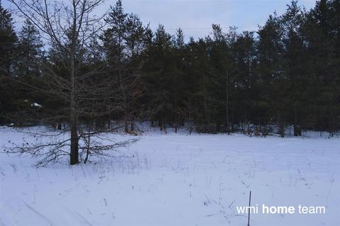 Parcel 2 N West County Line, Newaygo, MI 49337 photo 3
