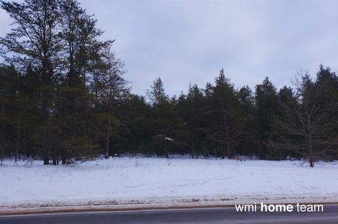 Parcel 2 N West County Line, Newaygo, MI 49337 photo 2