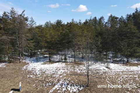 Parcel 2 N West County Line, Newaygo, MI 49337