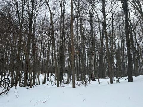 9560 Calgary, Canadian Lakes, MI 49346