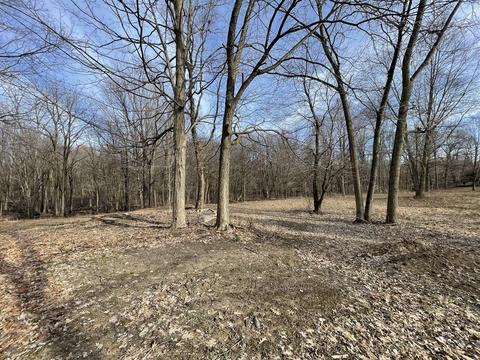 16161 W Clear Lk, Buchanan, MI 49107 photo 3