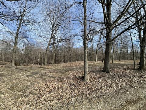 16161 W Clear Lk, Buchanan, MI 49107