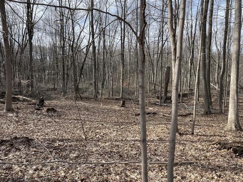 16161 W Clear Lk, Buchanan, MI 49107 photo 4